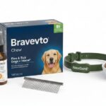 Best Flea and Tick Prevention for Dogs in 2026