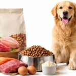 Best High Protein Dog Food for Active Dogs