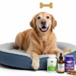 Best Joint Supplements for Senior Dogs That Work