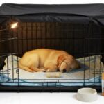 Crate Training Puppy at Night Made Simple