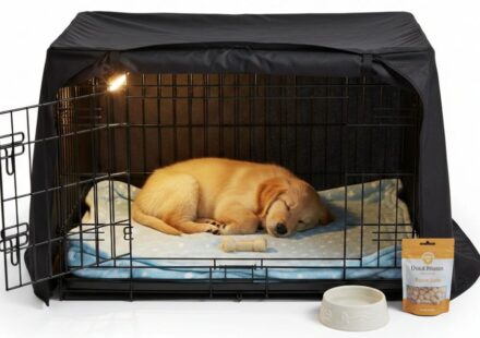Crate Training Puppy at Night Made Simple