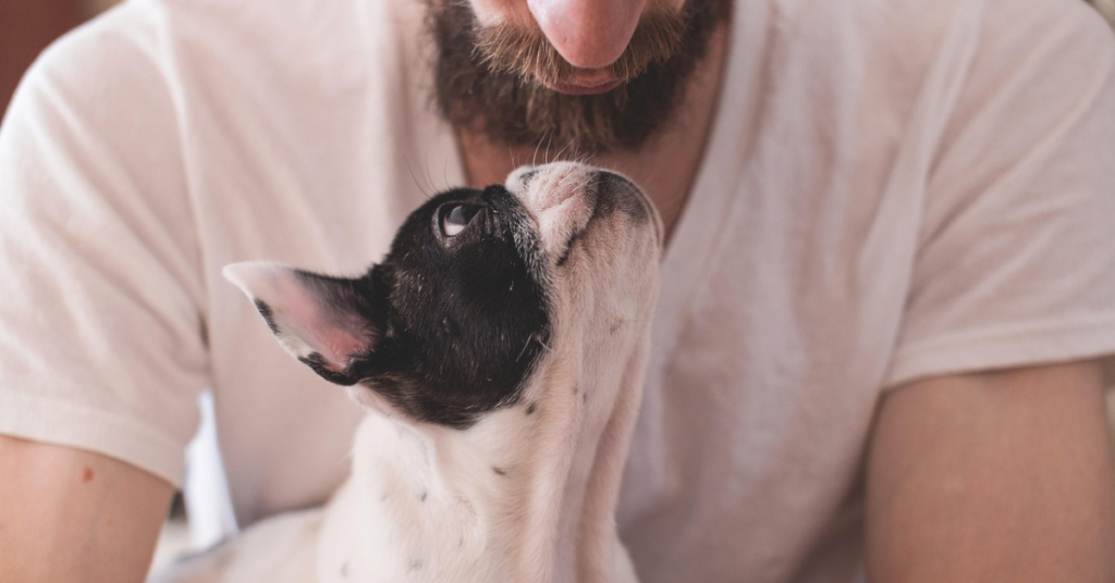 first time dog owner