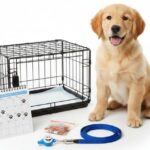 Potty Train a Puppy Fast in 7 Days Proven Plan