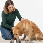 Stop Food Aggression in Dogs With Proven Training