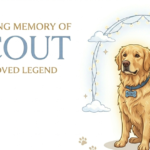 Instagram Famous Dog Scout Dies