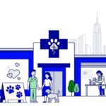 Best Pet Clinics in Denver: Top 10 Vet Centers for Dogs & Cats