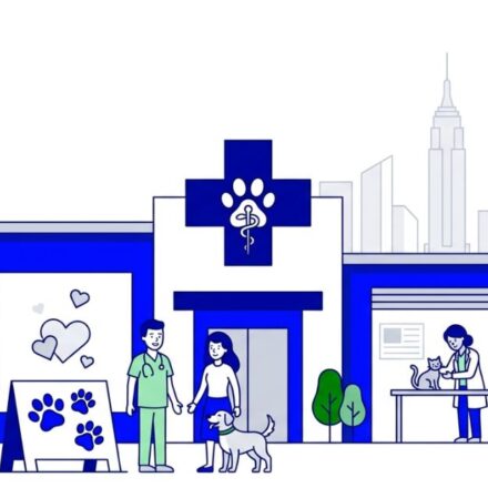 Best Pet Clinics in Denver: Top 10 Vet Centers for Dogs & Cats