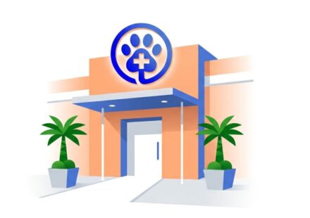 Best Pet Clinics in San Francisco for Advanced Specialist Care