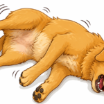 dog-seizure-guide-what-to-do-and-avoid-now
