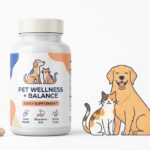 Top Pet Wellness and Supplement Brands in the USA for 2026